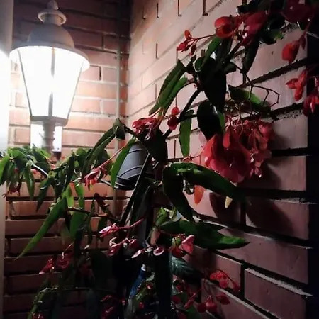 Al Lado De Barcelona Y La Playa Apartamento *